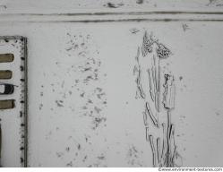 Photo Textures of Ground